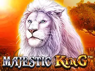 1547638 Cat Casino